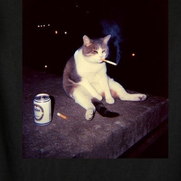 Funny Cat Smoke Shirt, Funny Smoking Cat Meme Shirt - Picture 2 of 4